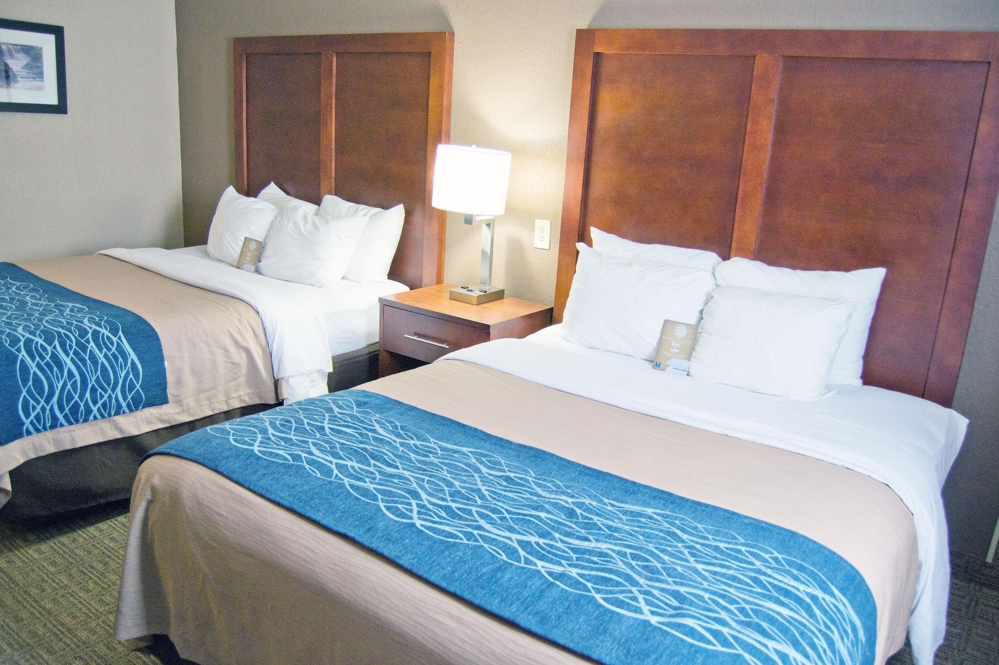 Comfort Inn University Амхерст Экстерьер фото